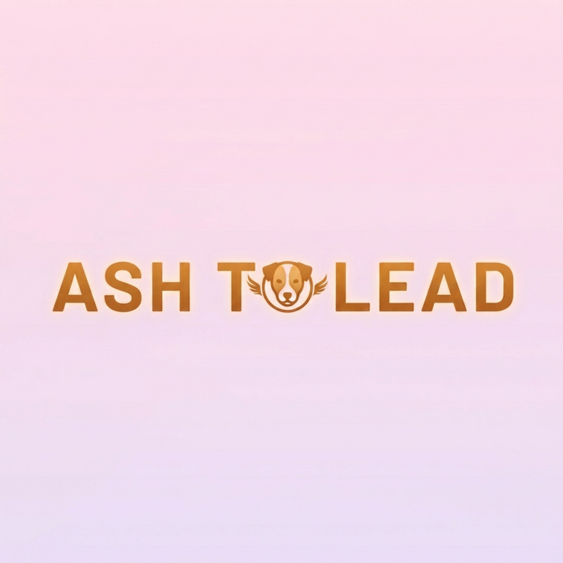 Welcome to Ash to Lead
