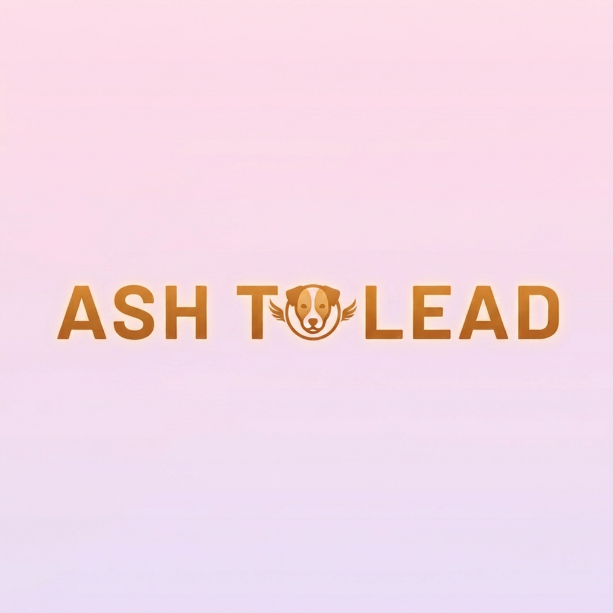 Welcome to Ash to Lead