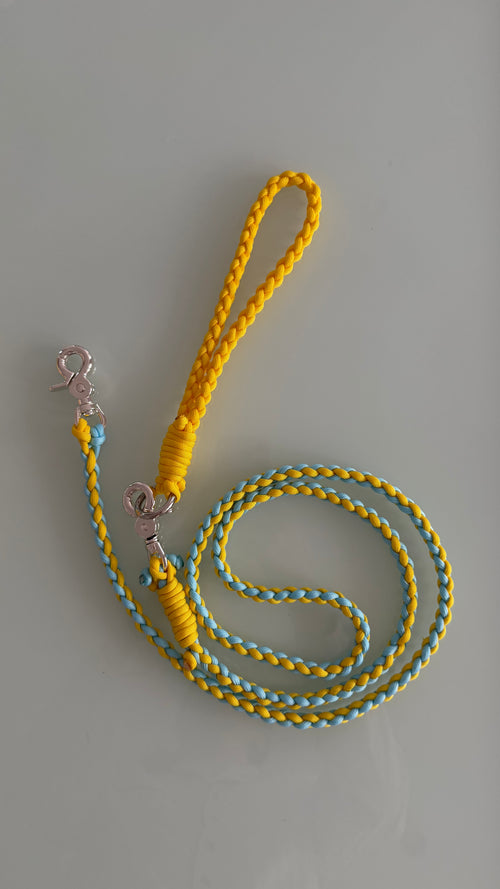 Paracord Leash: Color Banana Boat