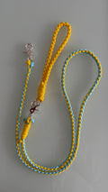 Paracord Leash: Color Banana Boat