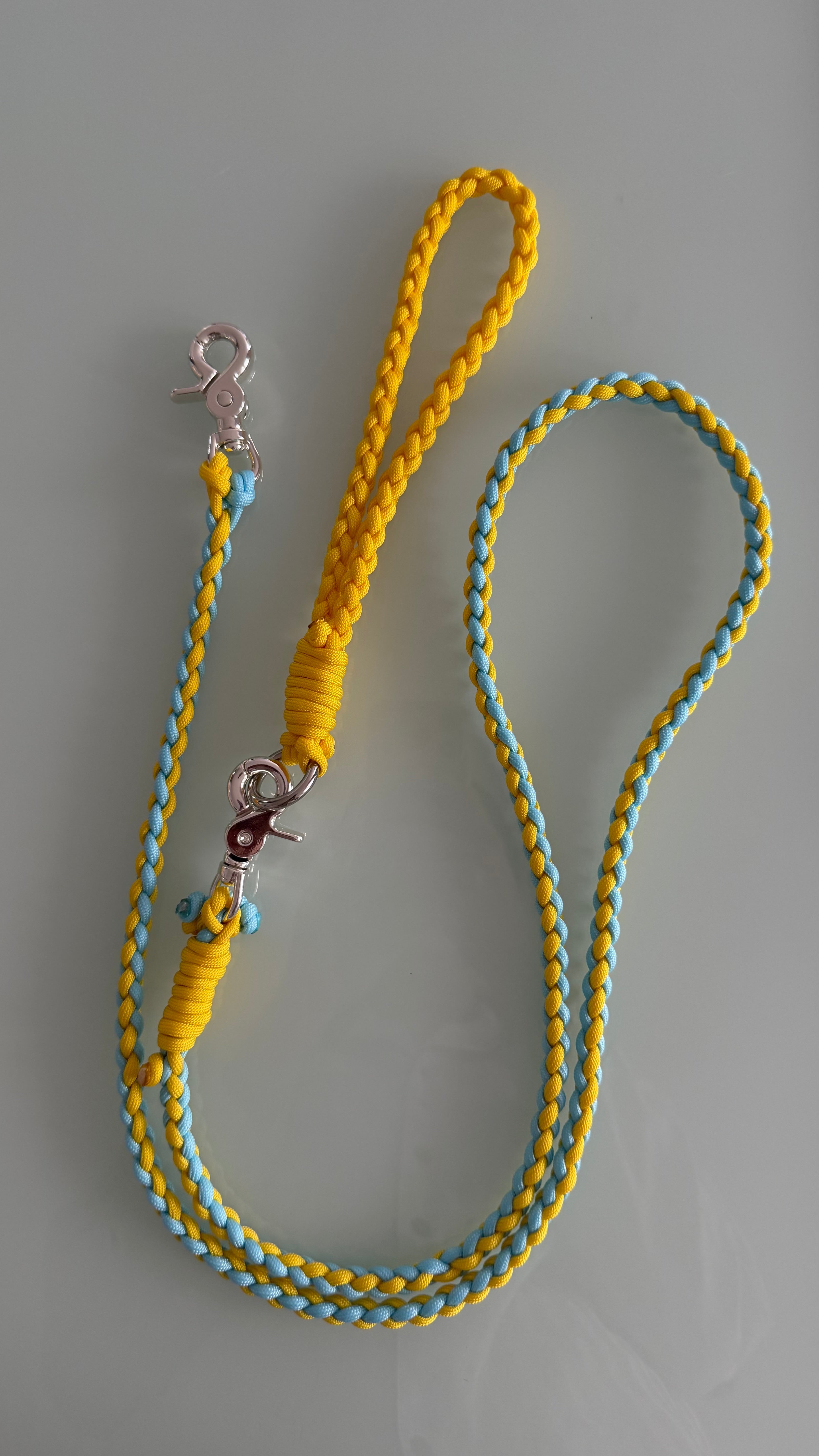 Paracord Leash: Color Banana Boat
