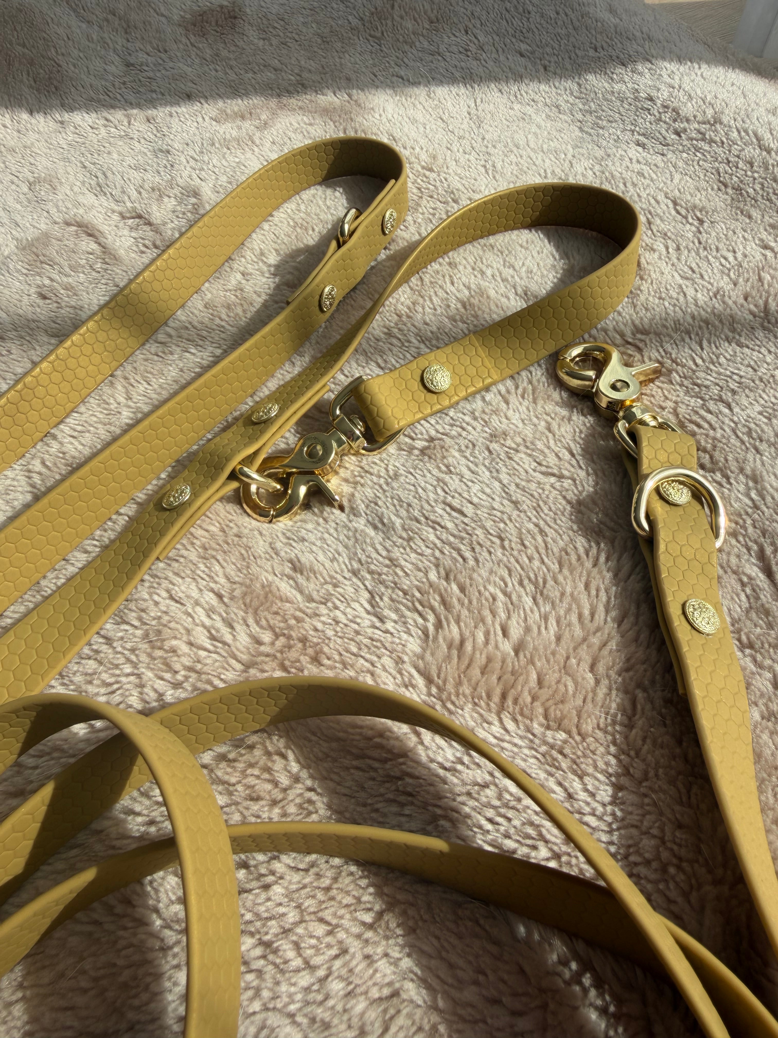 3,5 m Hexa Handsfree Leash