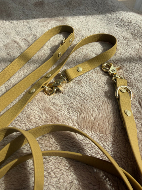 3,5 m Hexa Handsfree Leash